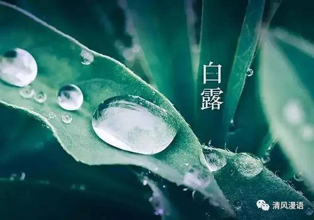 *诗词小辑*作者：王香谷（悉尼）【冰心文化传媒】（图5）