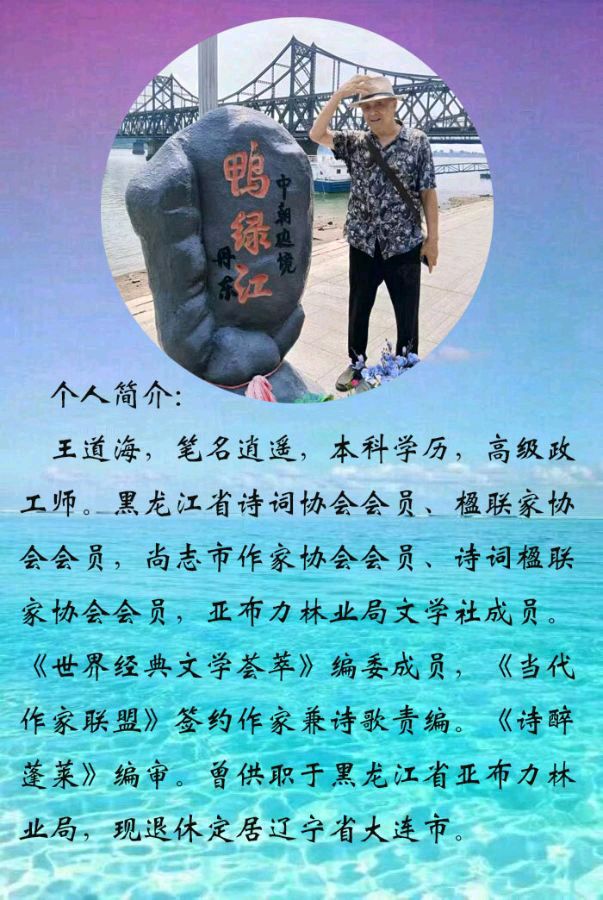 中华诗艺黑龙江分社微刊第199期(图17)
