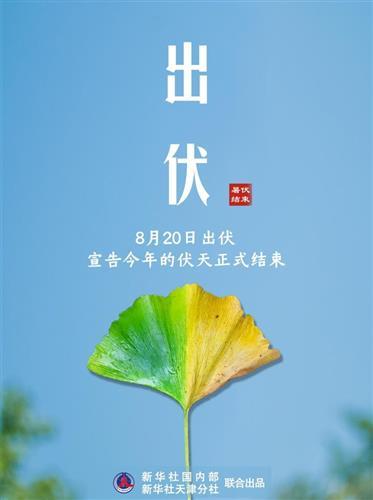 《出伏》作者:农朴‖主播:三毛【桃源国际诗歌集团】用声音传递温暖以诵读致敬人生♬（图4）