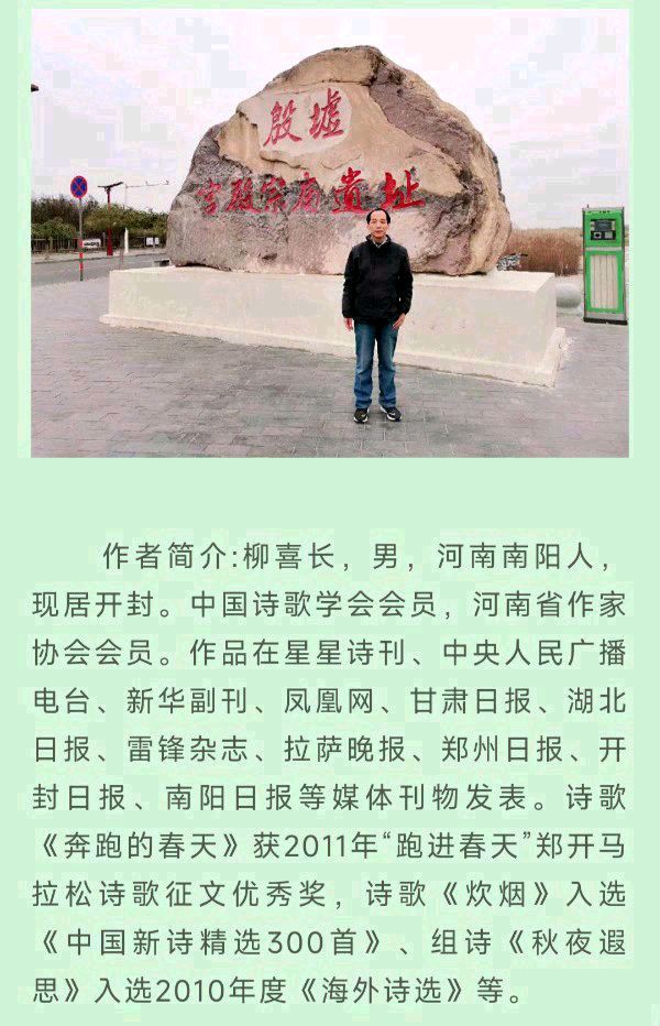 中华诗艺黑龙江分社微刊第200期(图44)