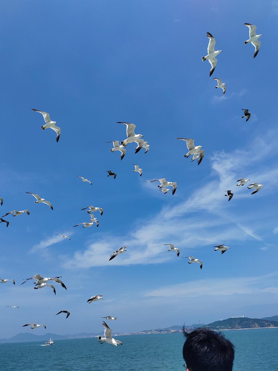 《江南诗絮文化中心》现代诗-九月刊(图6)
