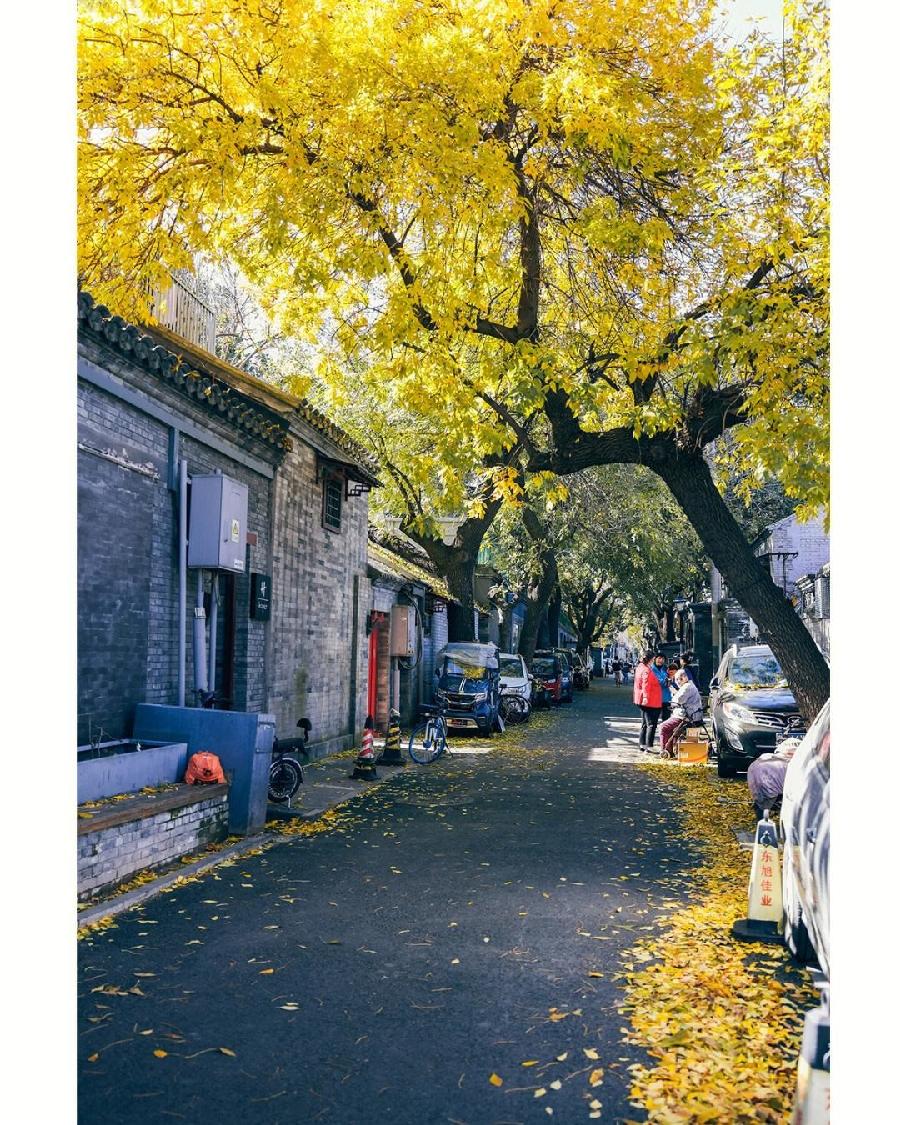 任定安朗诵【秋之恋语】作者/雷金钟（图6）