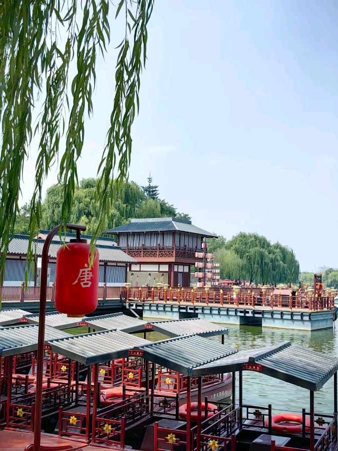 中华诗艺黑龙江分社微刊第201期(图4)