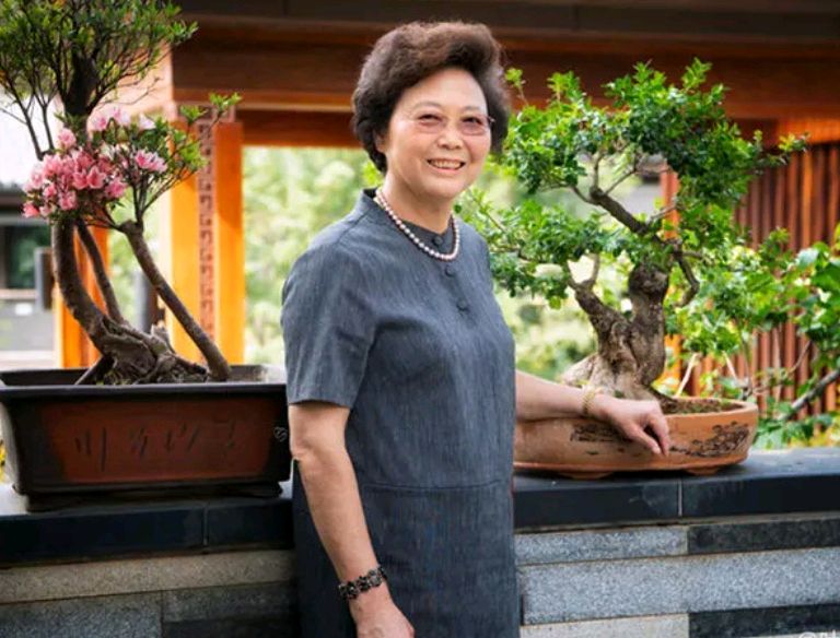 《我的花园我的家》联机全球发布叶子青青作品欣赏（图22）