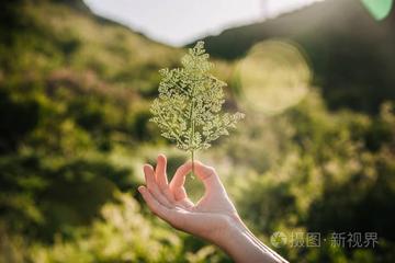 《绷紧了阳光的弦》作者:黑子【主:芳草青青】【桃源国际诗歌集团】用声音传递温暖致敬人生♬（图7）
