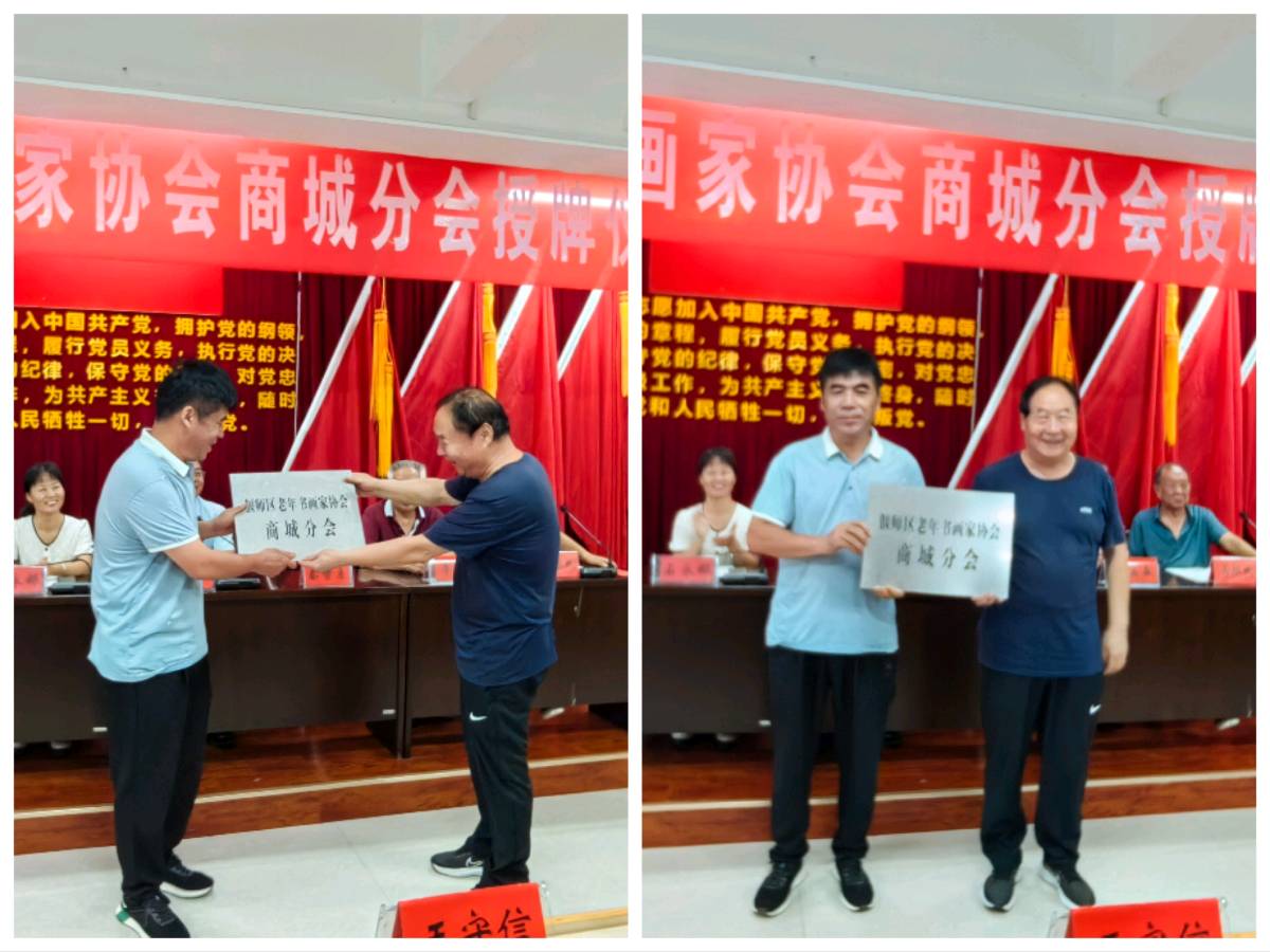 偃师区老年书画家协会送文化之十四-走进商城街道暨商城书画分会授牌今日举行（图7）
