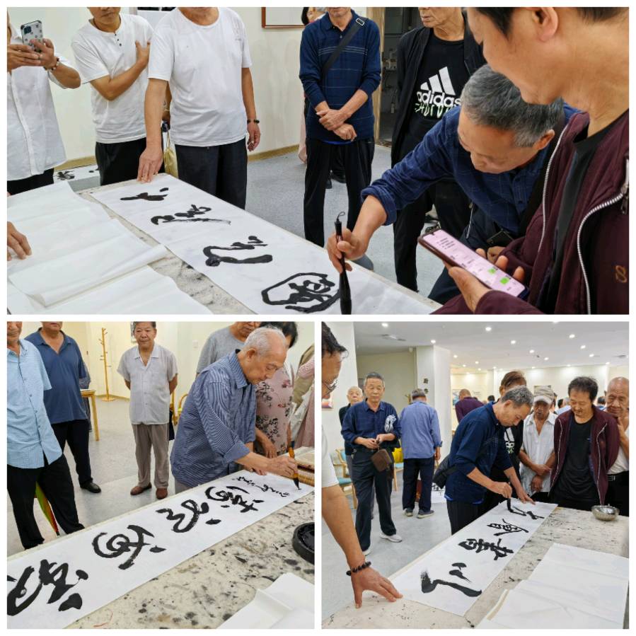 偃师区老年书画家协会送文化之十四-走进商城街道暨商城书画分会授牌今日举行（图14）