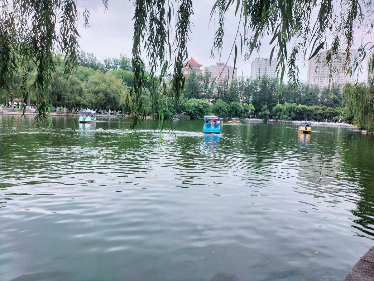 《九江文学社：北京头条》《名家专刊》战斗英雄傅塘根书记近期箴言集萃（图20）