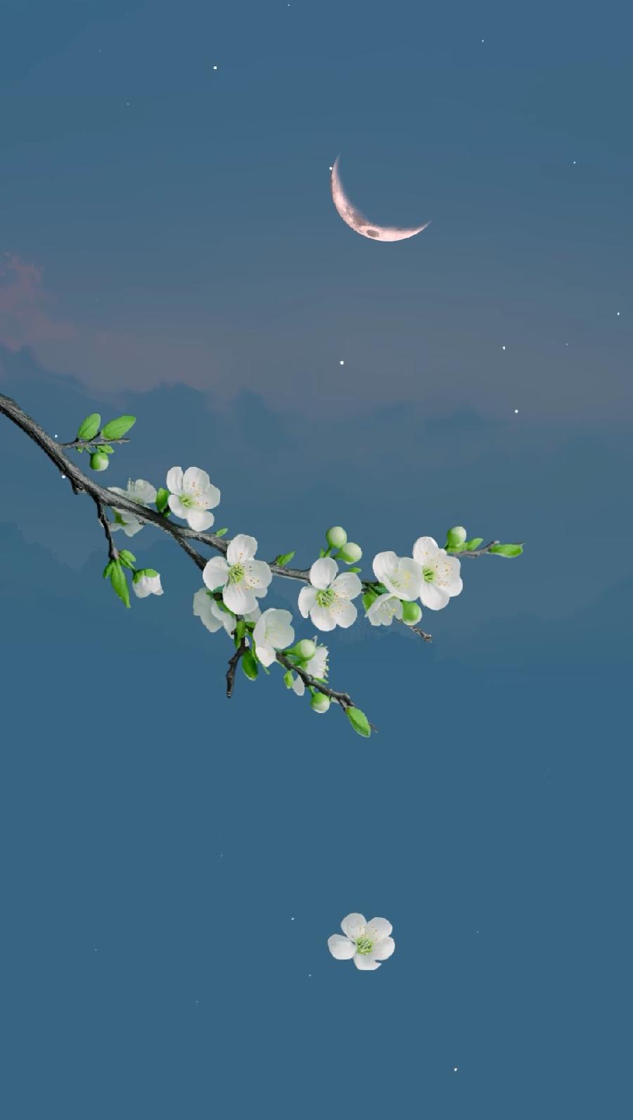 七律-秋思～诗||杨景儒（图13）
