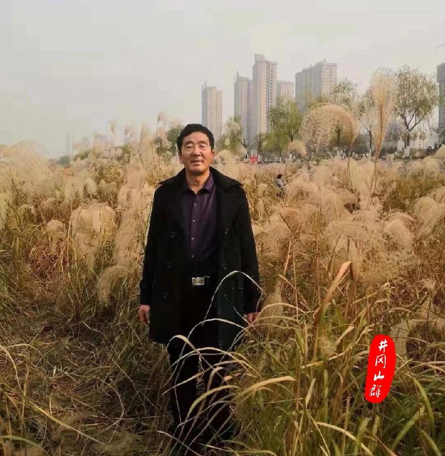 阌莲礼赞~文||张华(图18)