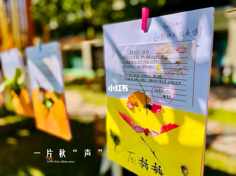 【新山东文学社】《一封信，写给秋天》作者/张秀祥 主播/海豚（图3）