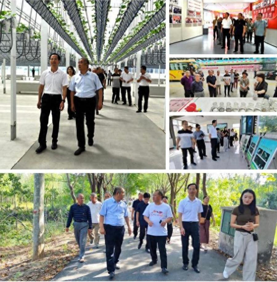 聊城市科协赴茌平开展现场教学主题党日活动(图5)