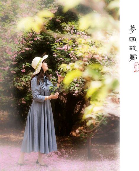 【新山东文学社】《梦回故乡》作者/木青 主播/竹林听雨（图3）