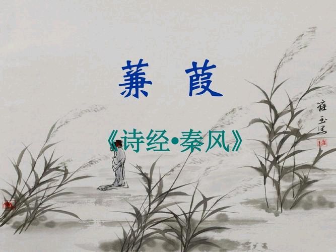 《秋水蒹葭》作者·主播:蓝精灵【桃源国际诗歌集团】用声音传递温暖以诵读致敬人生（图5）