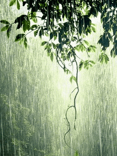 【荣耀中国】等在秋雨中（原创）文/高春（江西）（图2）