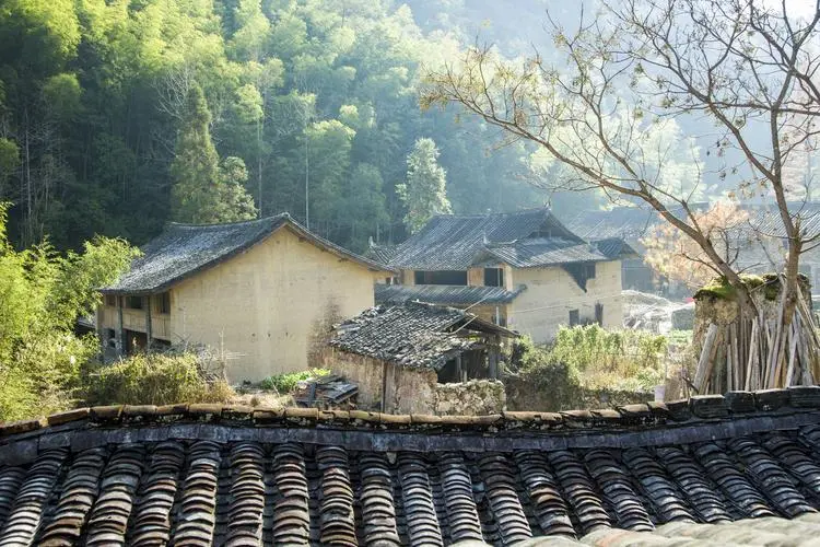 洪炳君《我的村庄、老屋和那看家的狗》播/玉华(图11)