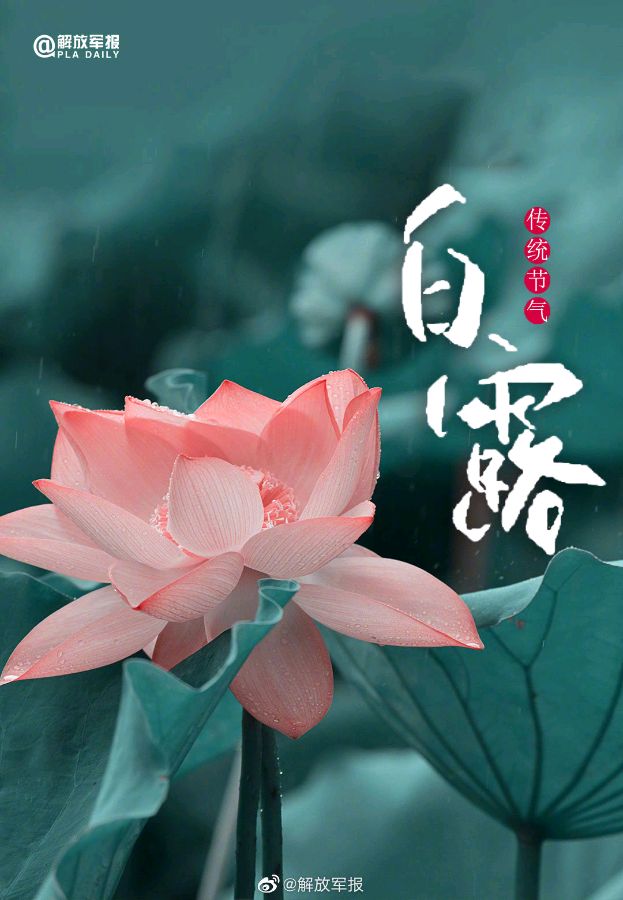 《九江文学社：北京头条》《名家专刊》杨成贵老领导近期箴言集萃【总第1813期】（图10）