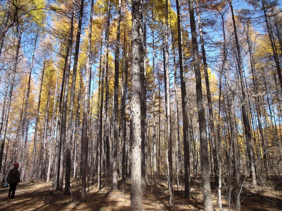 唱和:重游老黑山‖巴彦诗协诗词卷【583】(图16)
