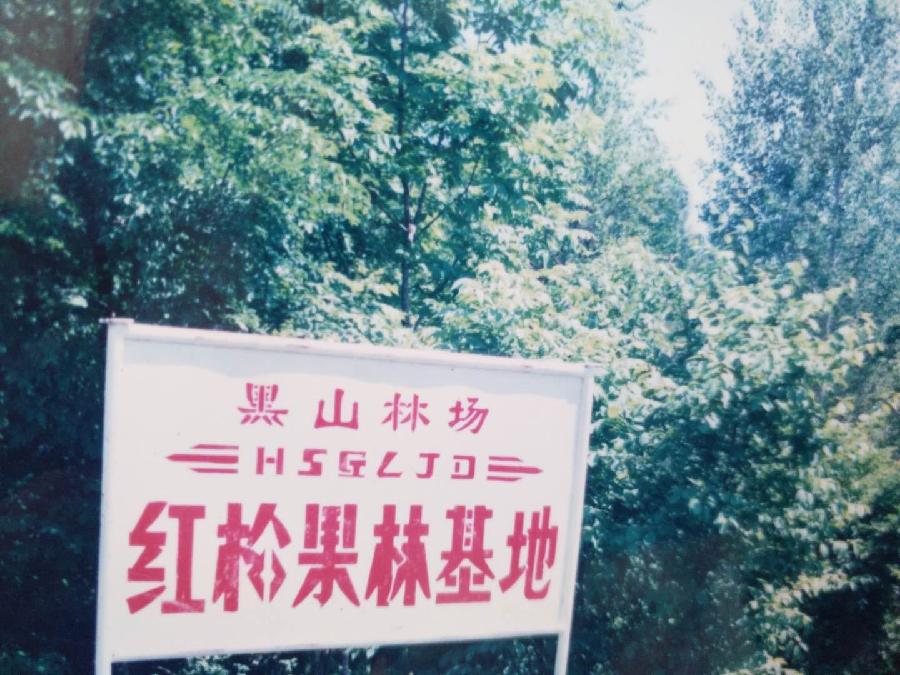 唱和:重游老黑山‖巴彦诗协诗词卷【583】(图27)