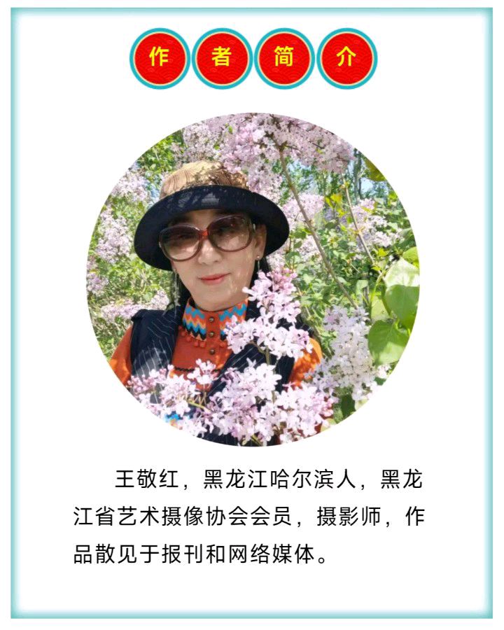 中华诗艺黑龙江分社微刊第205期（图43）