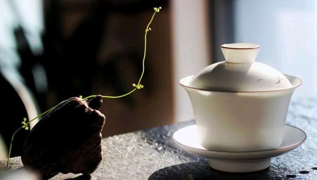 人生亦如茶，手捧生命的温度，看浮华三千！（图3）
