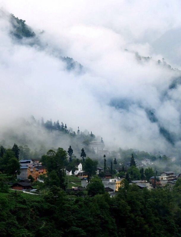 远村（图2）