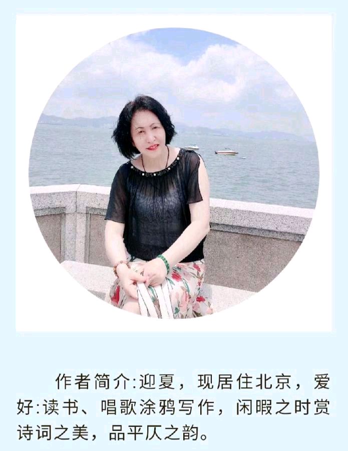 中华诗艺黑龙江分社微刊第206期(图47)
