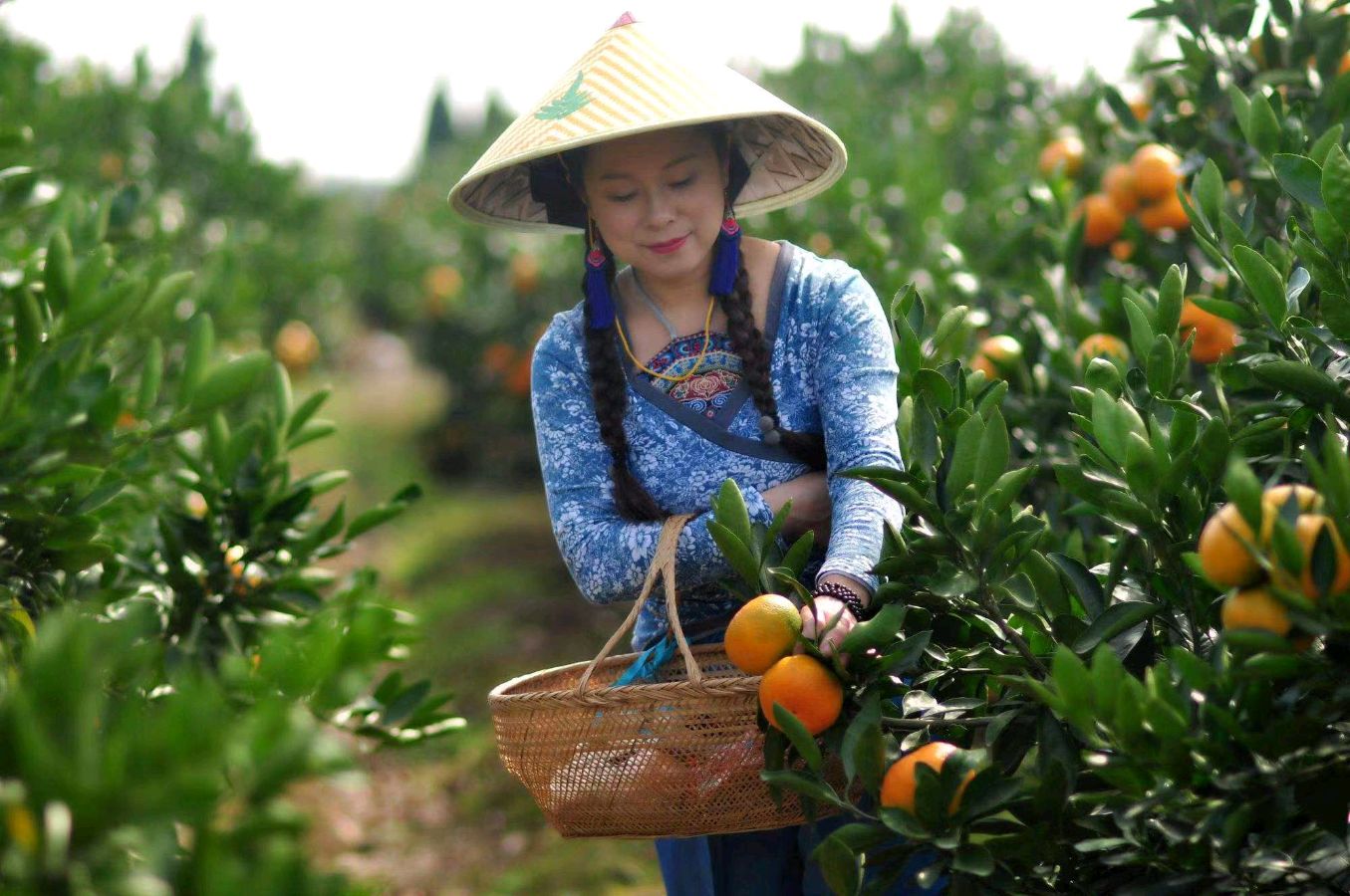 金秋（外一首）文／山乡（湖北）【冰心文化传媒】（图8）