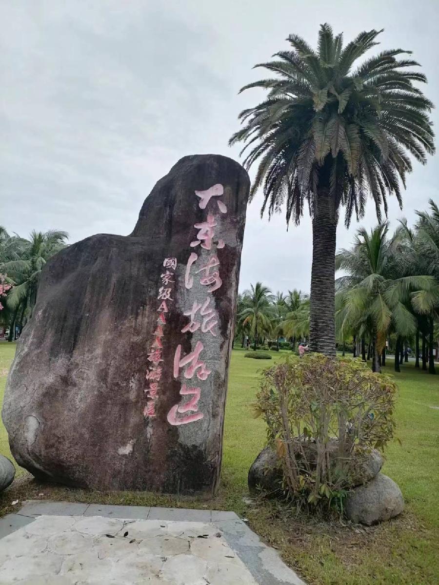 诵洛神/文姜炳明：《半山半岛》（图4）