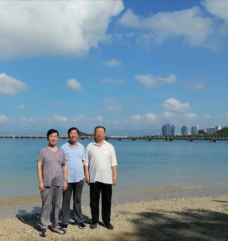 诵洛神/文姜炳明：《半山半岛》（图2）