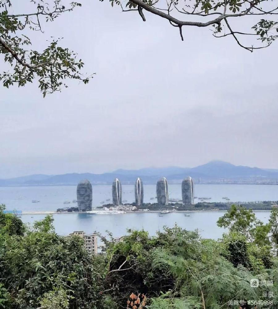 诵洛神/文姜炳明：《半山半岛》（图6）