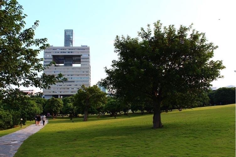 忆深圳大学初建的那些日子 作者／沈祥源 京津沪头条（图3）