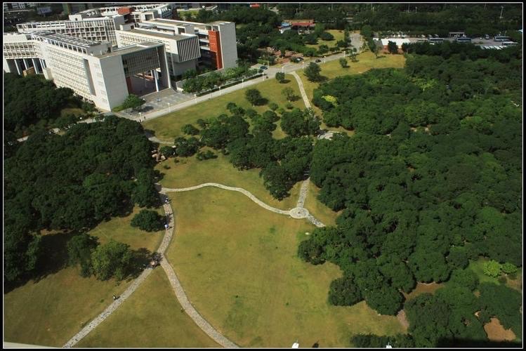 忆深圳大学初建的那些日子 作者／沈祥源 京津沪头条（图5）