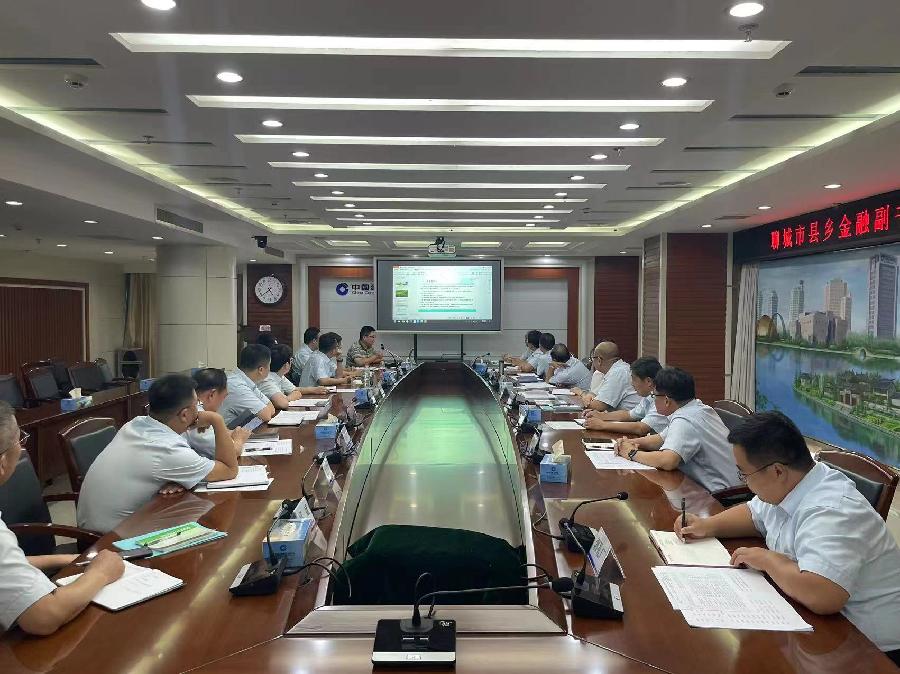 全市“县乡金融副书记”挂职动员部署会议召开(图5)