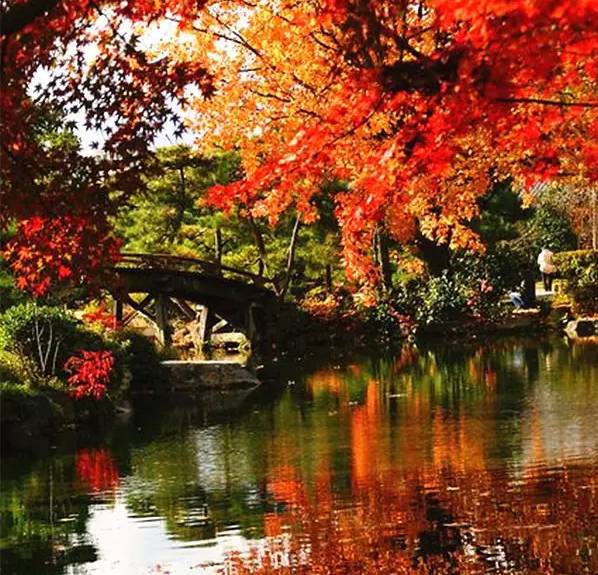 诉衷肠·秋之怀（文/张华兴）……莲叶之珠文学社（图3）