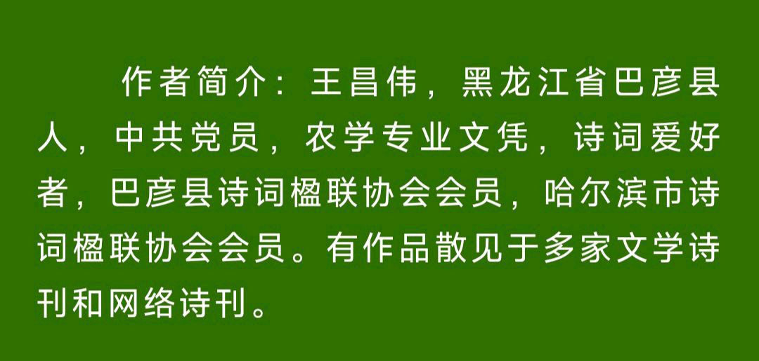 中华诗艺黑龙江分社微刊第207期(图31)