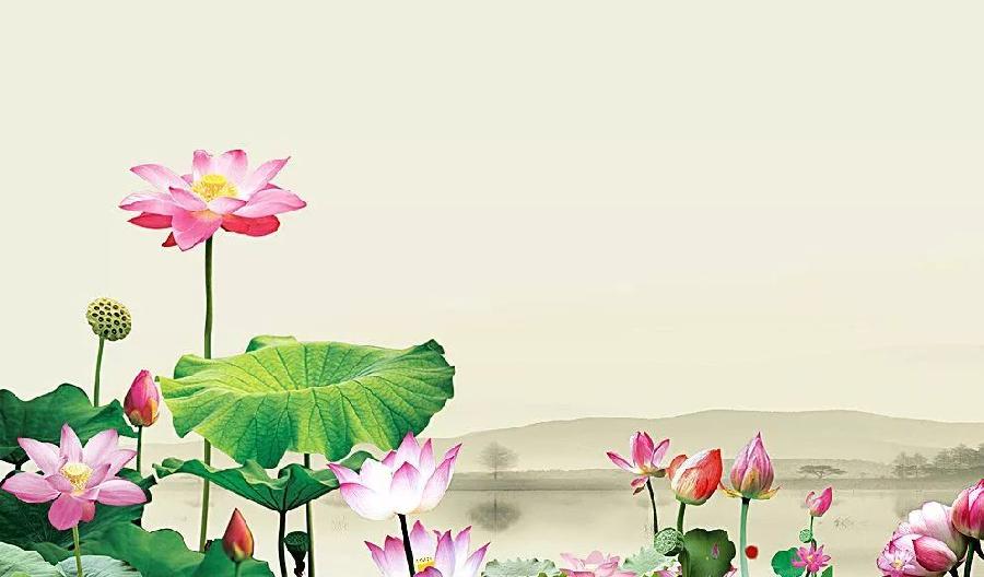 国风上海社第五十一期诗刊—上海头条（图2）