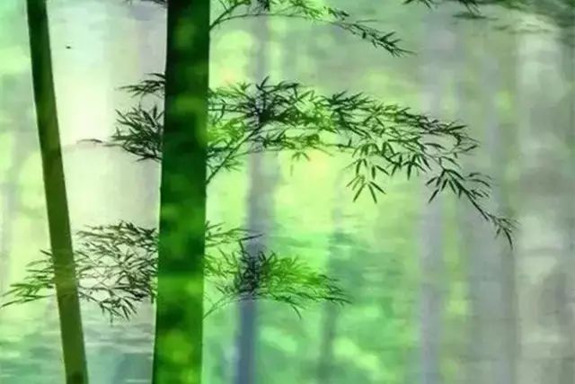 国风上海社第五十一期诗刊—上海头条（图32）