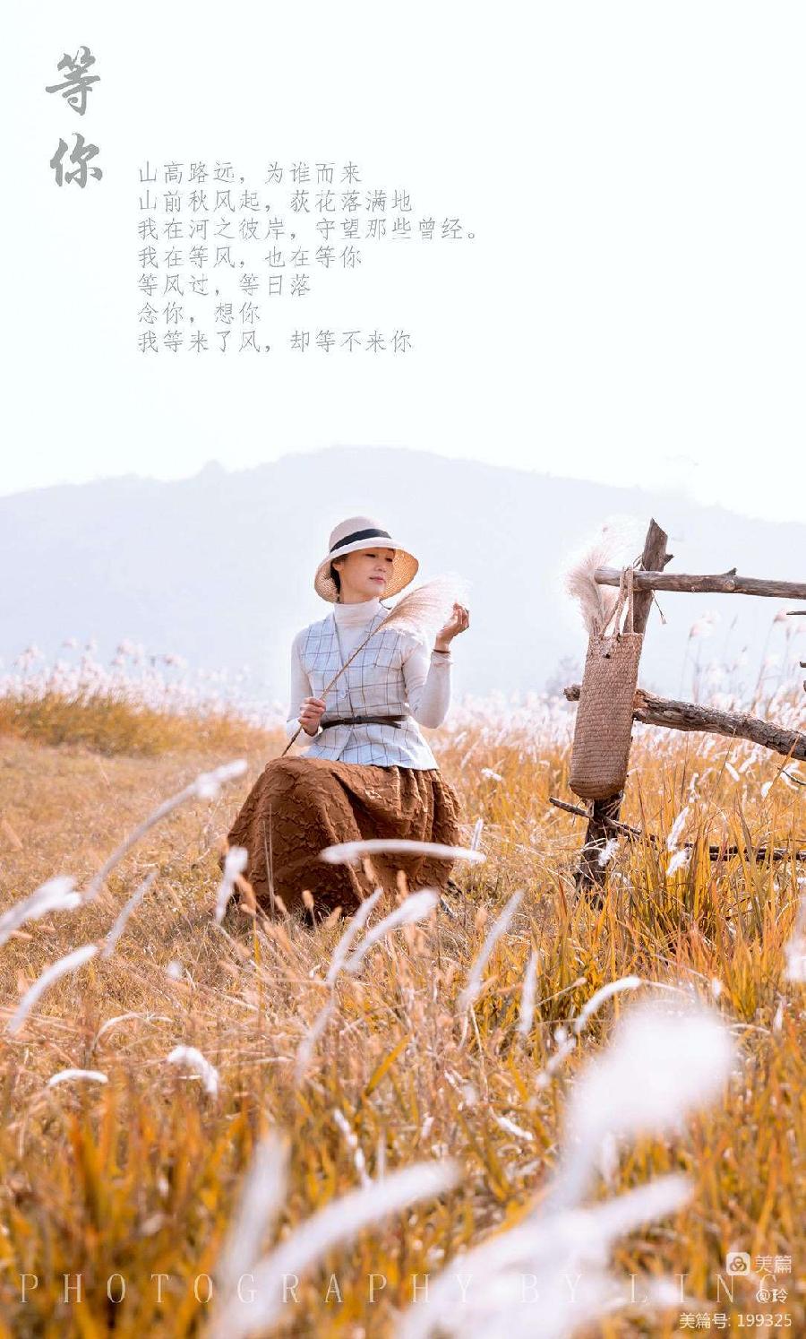 读《你在彼岸等我》美文有感～诗||李耀文（图8）