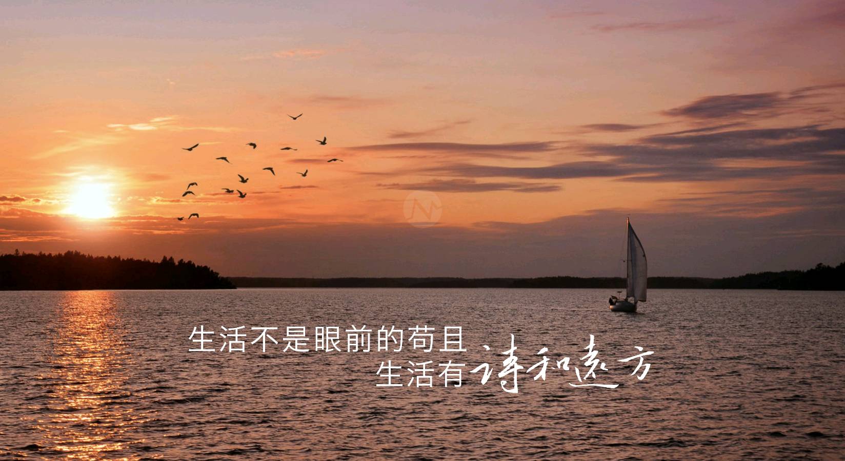 【明心文学】理解就好，醒悟了就万岁 作者/霍文学 主播/春语（图2）