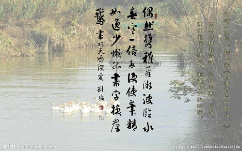 著名书法老师任何书/文香兰：《七律•学诗有感（中华新韵》
