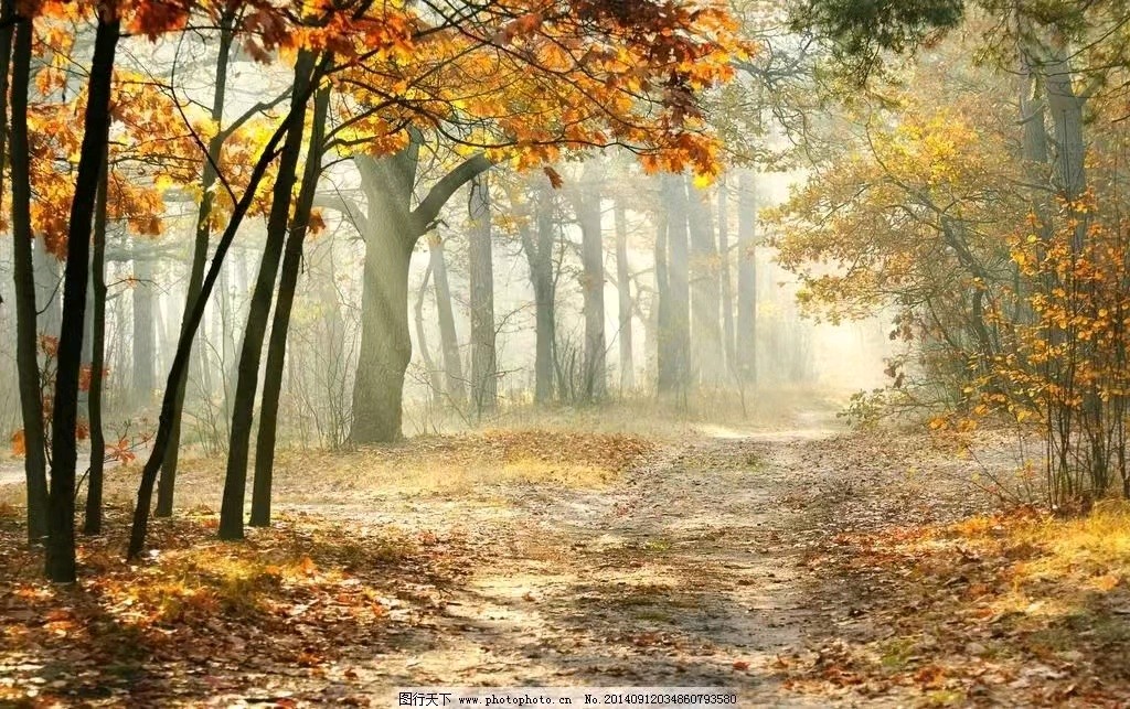 联机全球发布吴华龙作品欣赏（图5）