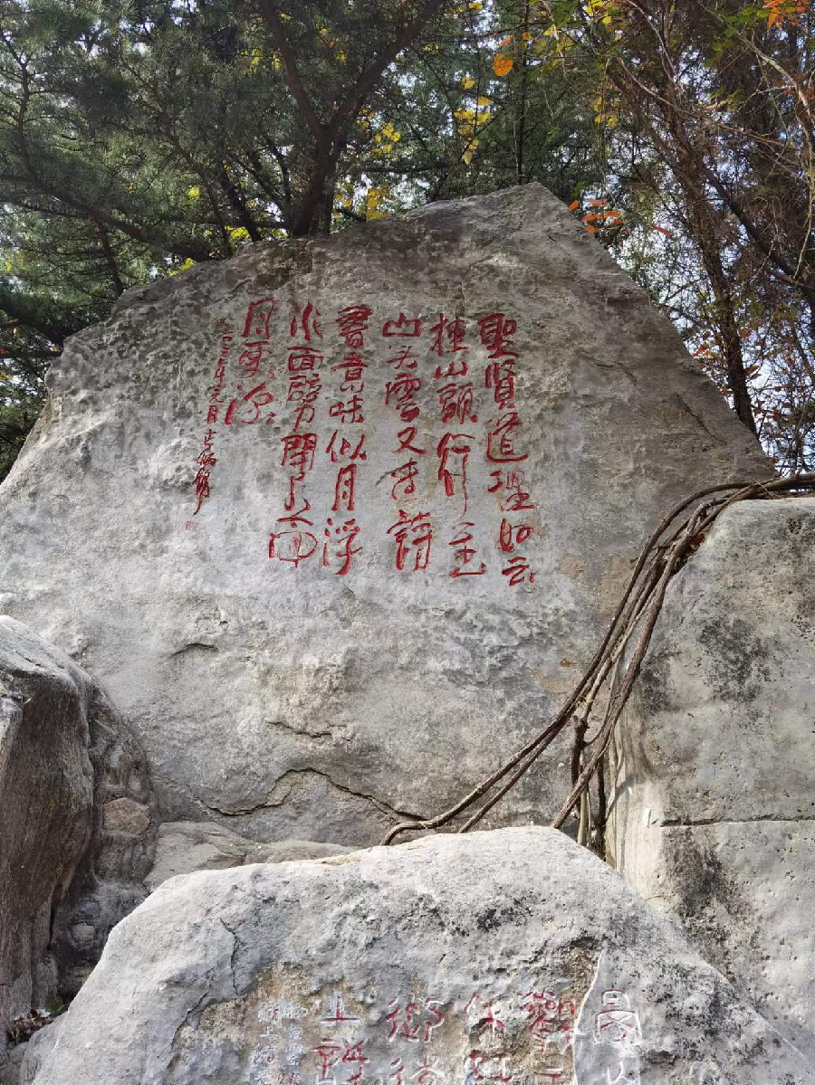 图片1 图片1