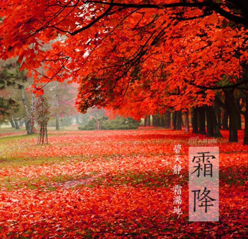 【神州源流诗苑】第1036期优秀近体诗《都市头条》周刊(图9)