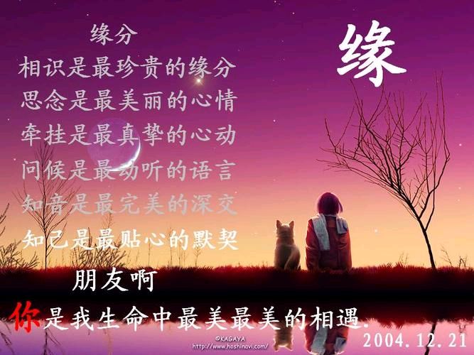 《你不是家人，心里却有你的位置》作者:胡玉滨‖主播:兴安杜鹃【中国现代诗歌文化传媒】现代♬ 馨声（图4）