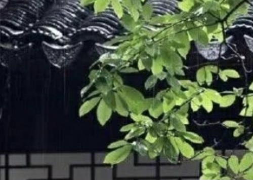 【新诗大观】你那里下雨了吗||文/花惜柔||诵/李保红(图2)