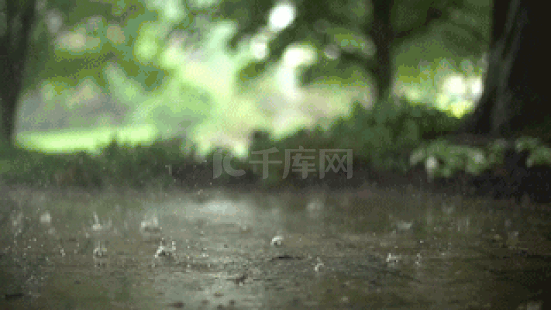 爱心小雨（二首）文／陈铠 黑龙江【冰心文化传媒】（图3）
