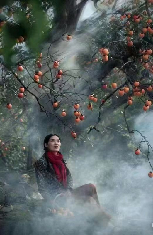 联机全球发布曲银侠作品欣赏（图22）