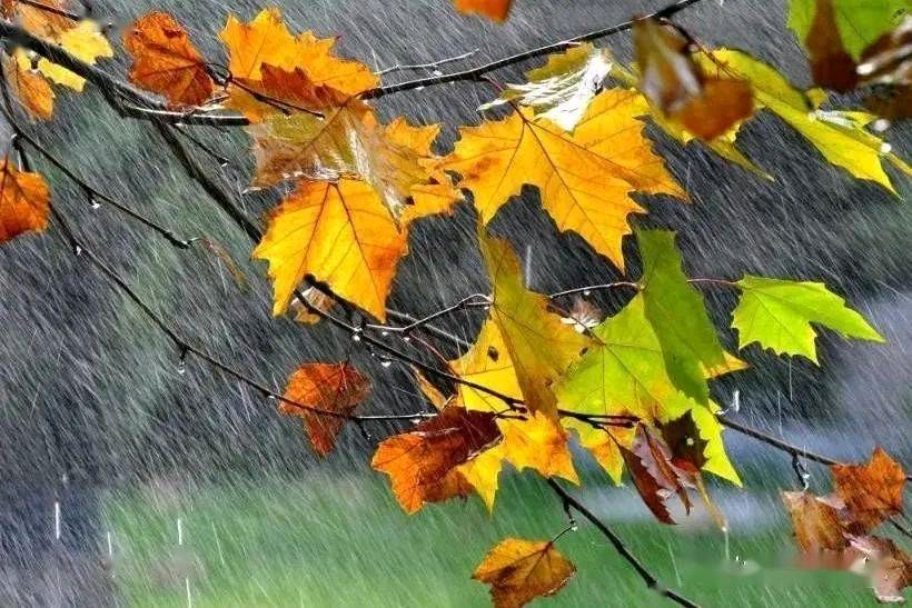 【中国长江文学社】《七言两首.秋雨夜》作者 佟力//主播 守望幸福//编辑 岁月静好 第6490期（图5）