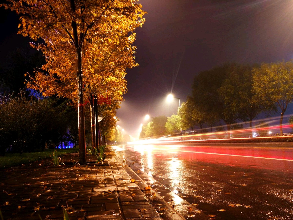 【中国长江文学社】《七言两首.秋雨夜》作者 佟力//主播 守望幸福//编辑 岁月静好 第6490期（图4）